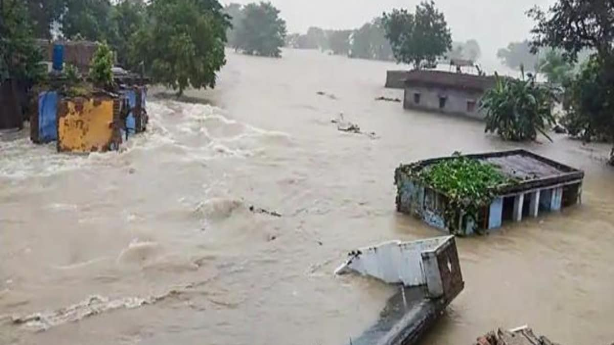 पंजाब में बाढ़ का कहर: सभी 23 जिले प्रभावित, 3.5 लाख पीड़ित; विशेष राहत पैकेज मिलेगा? पंजाब में बाढ़ का कहर: सभी 23 जिले प्रभावित, 3.5 लाख पीड़ित; विशेष राहत पैकेज मिलेगा?