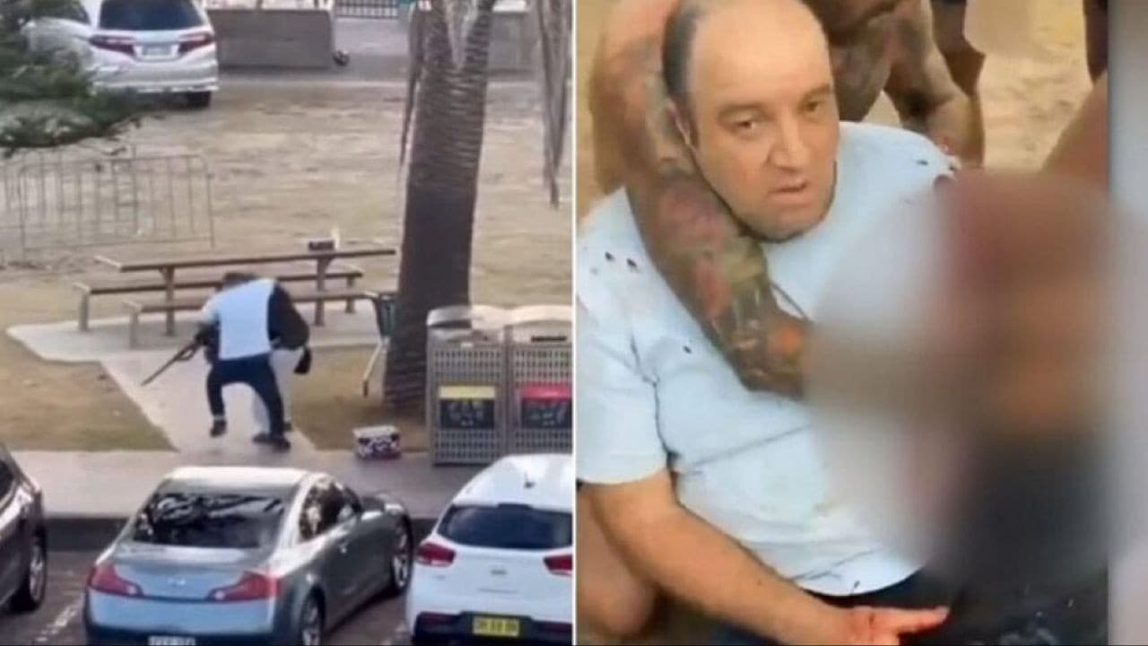 सिडनी में लोगों की जान बचाने वाला अहमद अल अहमद कौन है सिडनी में लोगों की जान बचाने वाला अहमद अल अहमद कौन है